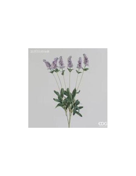 LAVANDA